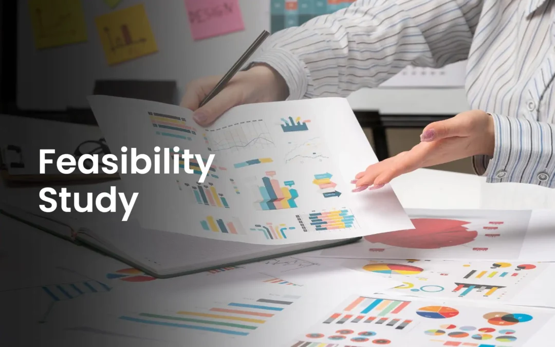 Feasibility Study