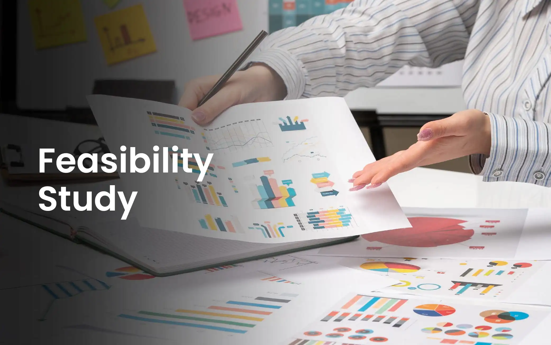 Feasibility Study