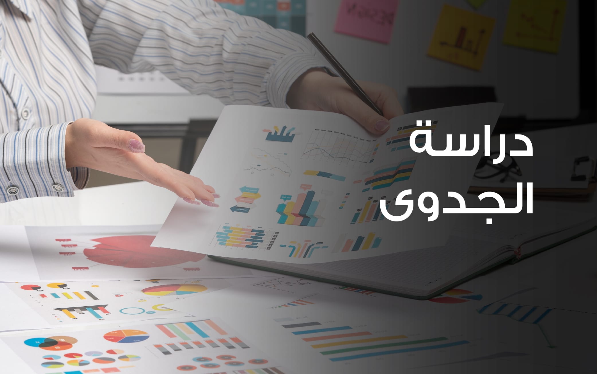 دراسة الجدوى