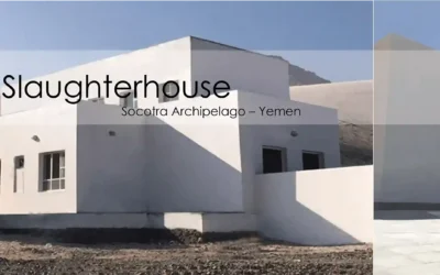 Modern Slaughterhouse, Socotra, Yemen