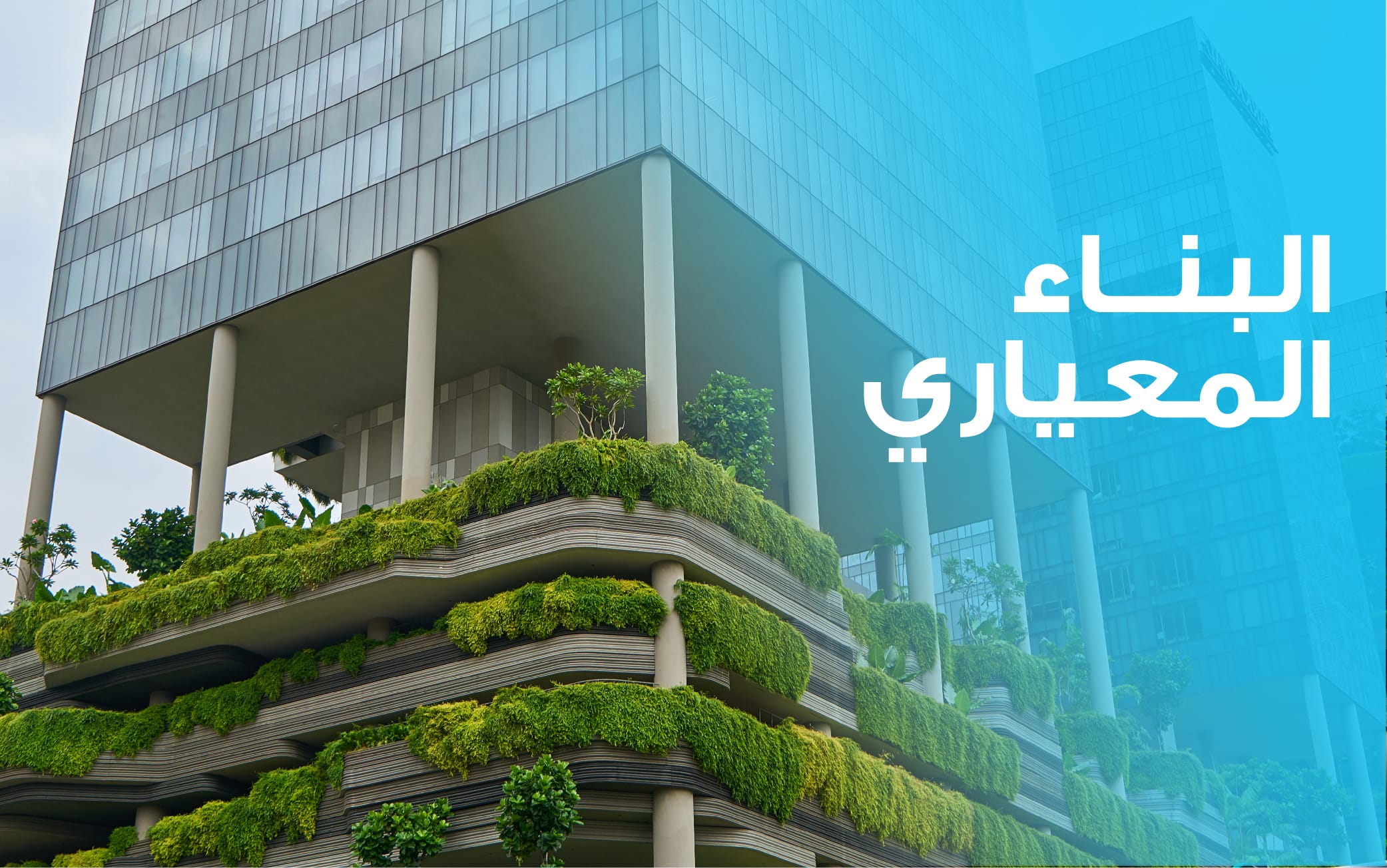 البناء المعياري