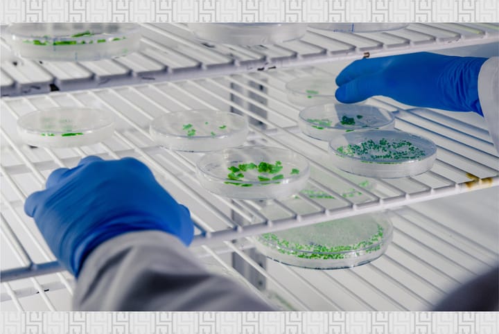 BioEngineering