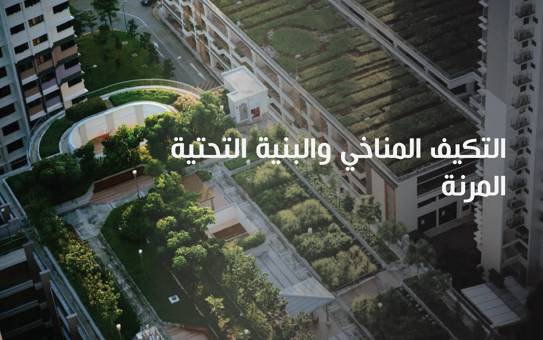 التكيف المناخي والبنية التحتية المرنة