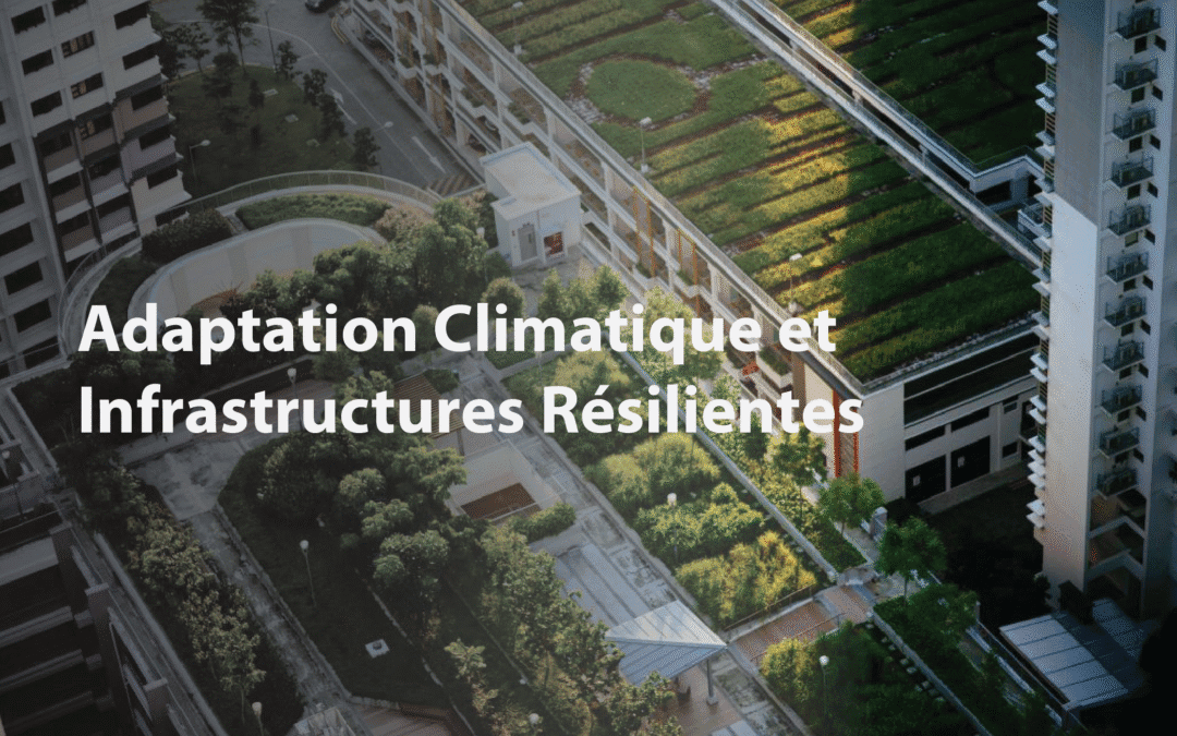 Adaptation Climatique et Infrastructure Résiliente: Bâtir pour un Avenir à l’Épreuve des Risques avec HS Group